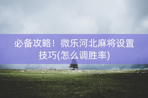 必备攻略！微乐河北麻将设置技巧(怎么调胜率)