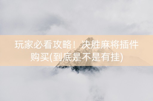玩家必看攻略！决胜麻将插件购买(到底是不是有挂)