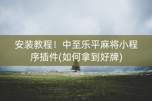 安装教程！中至乐平麻将小程序插件(如何拿到好牌)