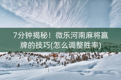 7分钟揭秘！微乐河南麻将赢牌的技巧(怎么调整胜率)