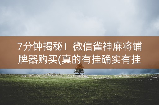 7分钟揭秘！微信雀神麻将铺牌器购买(真的有挂确实有挂)