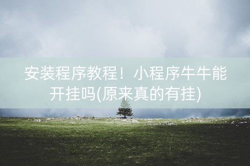 安装程序教程！小程序牛牛能开挂吗(原来真的有挂)