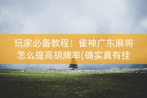 玩家必备教程！雀神广东麻将怎么提高胡牌率(确实真有挂)