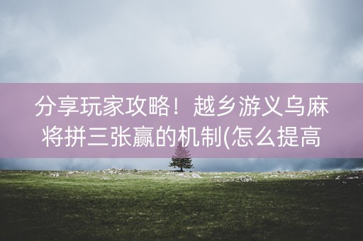分享玩家攻略！越乡游义乌麻将拼三张赢的机制(怎么提高赢牌率)