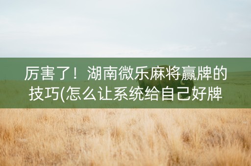 厉害了！湖南微乐麻将赢牌的技巧(怎么让系统给自己好牌)