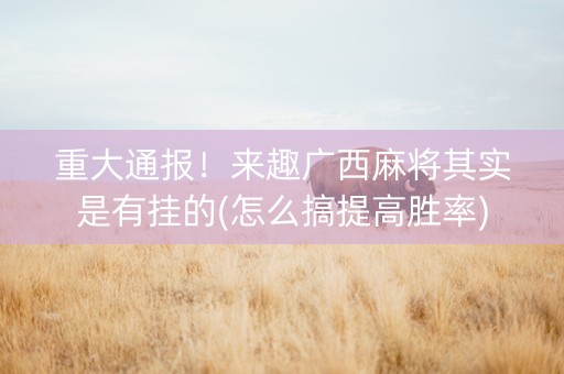 重大通报！来趣广西麻将其实是有挂的(怎么搞提高胜率)