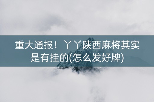 重大通报！丫丫陕西麻将其实是有挂的(怎么发好牌)