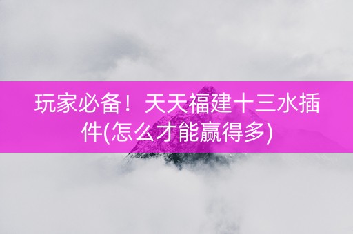 玩家必备！天天福建十三水插件(怎么才能赢得多)