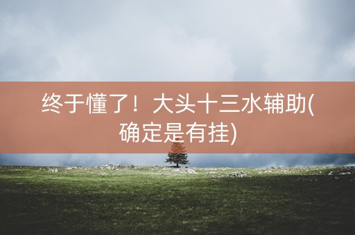 终于懂了！大头十三水辅助(确定是有挂)