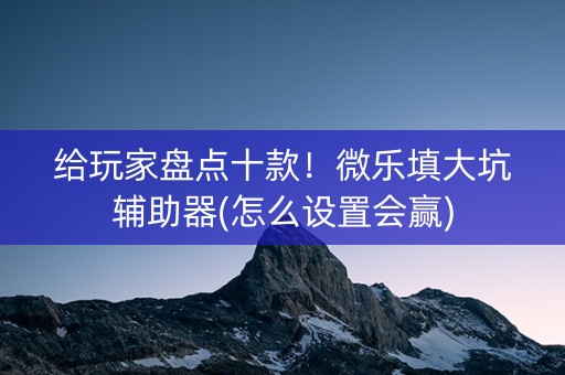 给玩家盘点十款！微乐填大坑辅助器(怎么设置会赢)