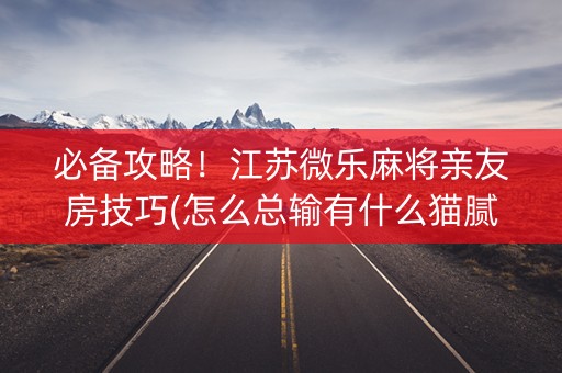 必备攻略！江苏微乐麻将亲友房技巧(怎么总输有什么猫腻)