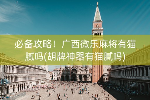 必备攻略！广西微乐麻将有猫腻吗(胡牌神器有猫腻吗)