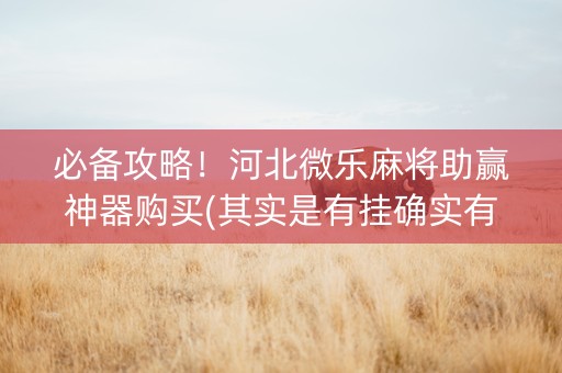 必备攻略！河北微乐麻将助赢神器购买(其实是有挂确实有挂)