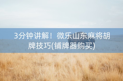 3分钟讲解！微乐山东麻将胡牌技巧(铺牌器购买)
