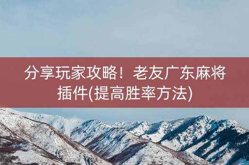 分享玩家攻略！老友广东麻将插件(提高胜率方法)