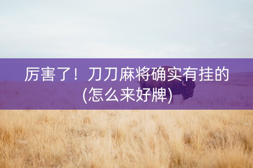 厉害了！刀刀麻将确实有挂的(怎么来好牌)