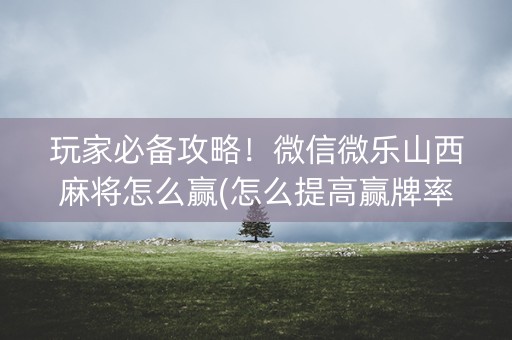 玩家必备攻略！微信微乐山西麻将怎么赢(怎么提高赢牌率)