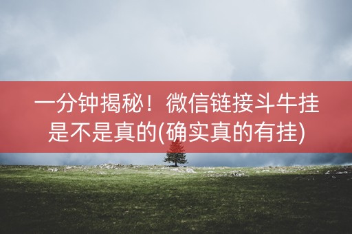 一分钟揭秘！微信链接斗牛挂是不是真的(确实真的有挂)