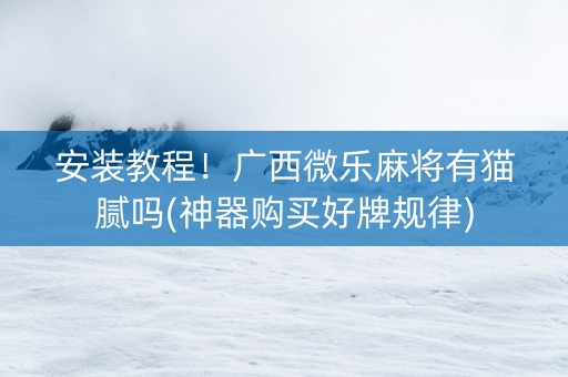 安装教程！广西微乐麻将有猫腻吗(神器购买好牌规律)