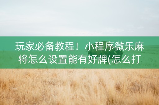 玩家必备教程！小程序微乐麻将怎么设置能有好牌(怎么打赢的几率大)