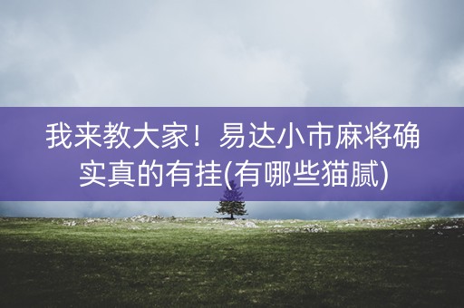 我来教大家！易达小市麻将确实真的有挂(有哪些猫腻)