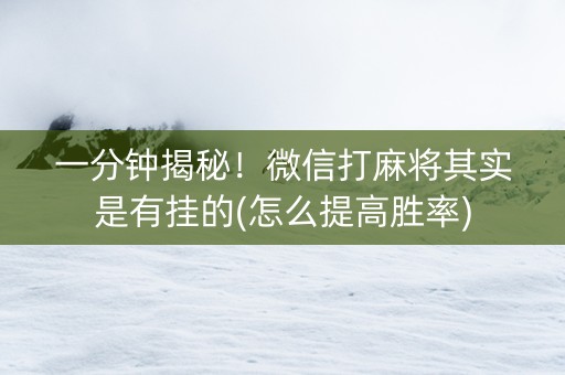 一分钟揭秘！微信打麻将其实是有挂的(怎么提高胜率)