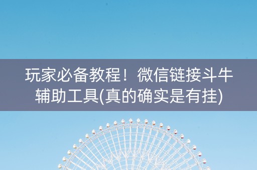 玩家必备教程！微信链接斗牛辅助工具(真的确实是有挂)