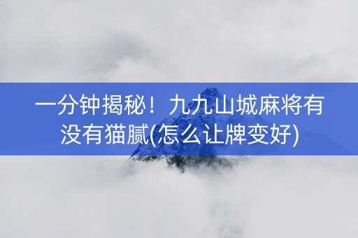 一分钟揭秘！九九山城麻将有没有猫腻(怎么让牌变好)