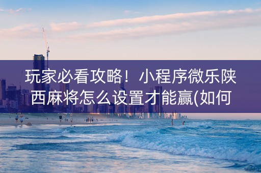 玩家必看攻略！小程序微乐陕西麻将怎么设置才能赢(如何打赢有插件吗)