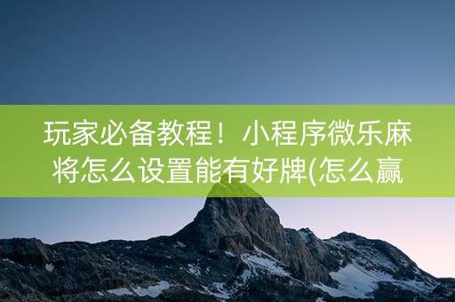 玩家必备教程！小程序微乐麻将怎么设置能有好牌(怎么赢的几率大)