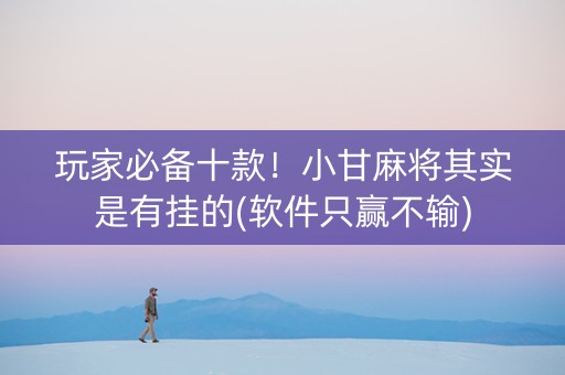 玩家必备十款！小甘麻将其实是有挂的(软件只赢不输)