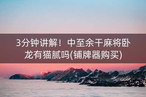 3分钟讲解！中至余干麻将卧龙有猫腻吗(铺牌器购买)