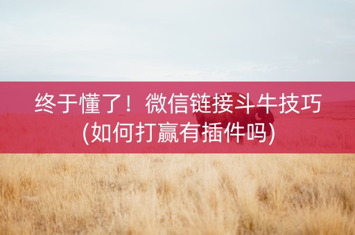 终于懂了！微信链接斗牛技巧(如何打赢有插件吗)