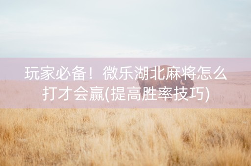 玩家必备！微乐湖北麻将怎么打才会赢(提高胜率技巧)