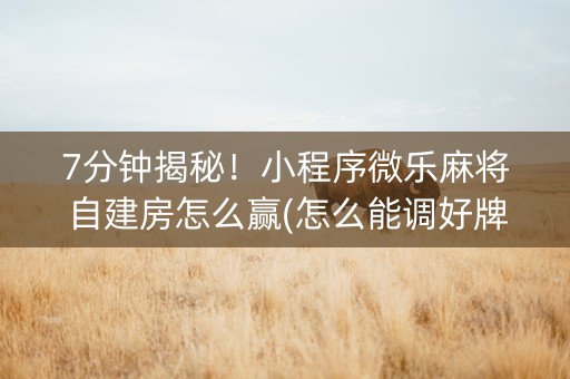 7分钟揭秘！小程序微乐麻将自建房怎么赢(怎么能调好牌)