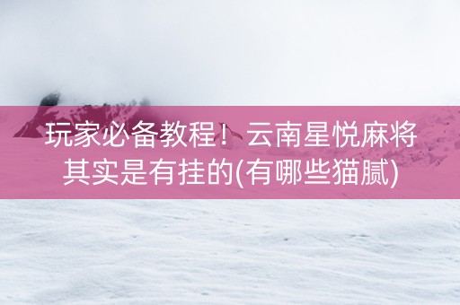 玩家必备教程！云南星悦麻将其实是有挂的(有哪些猫腻)