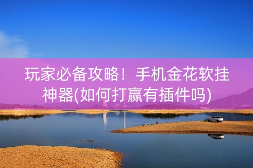 玩家必备攻略！手机金花软挂神器(如何打赢有插件吗)