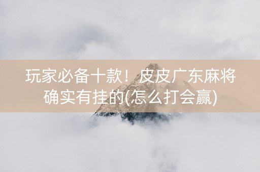 玩家必备十款！皮皮广东麻将确实有挂的(怎么打会赢)