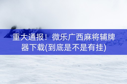 重大通报！微乐广西麻将辅牌器下载(到底是不是有挂)