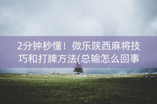 2分钟秒懂！微乐陕西麻将技巧和打牌方法(总输怎么回事)