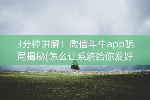 3分钟讲解！微信斗牛app骗局揭秘(怎么让系统给你发好牌)