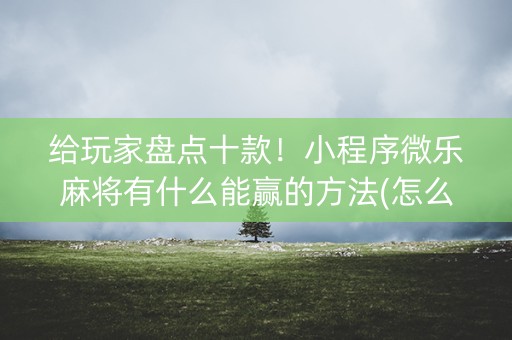 给玩家盘点十款！小程序微乐麻将有什么能赢的方法(怎么总输有什么猫腻)