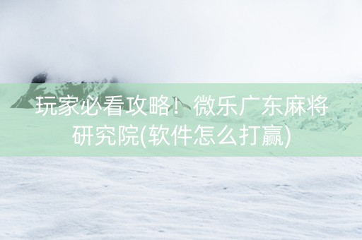 玩家必看攻略！微乐广东麻将研究院(软件怎么打赢)