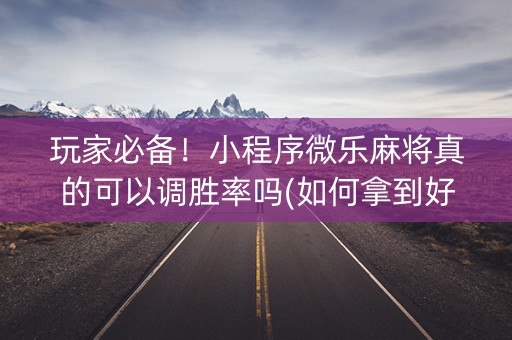 玩家必备！小程序微乐麻将真的可以调胜率吗(如何拿到好牌)