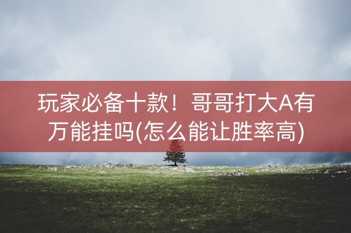 玩家必备十款！哥哥打大A有万能挂吗(怎么能让胜率高)