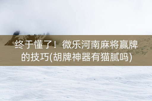 终于懂了！微乐河南麻将赢牌的技巧(胡牌神器有猫腻吗)