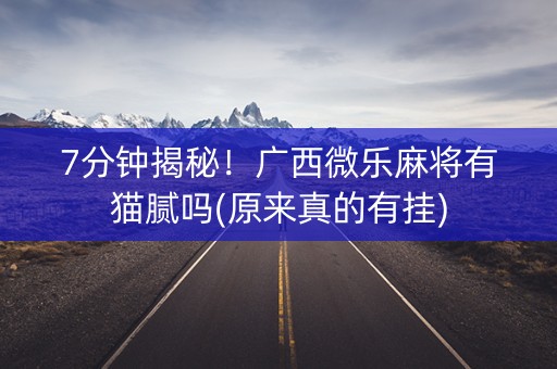 7分钟揭秘！广西微乐麻将有猫腻吗(原来真的有挂)