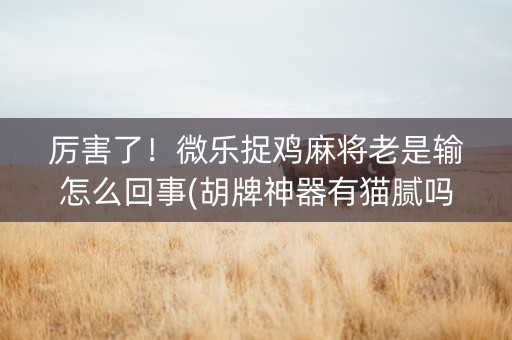 厉害了！微乐捉鸡麻将老是输怎么回事(胡牌神器有猫腻吗)