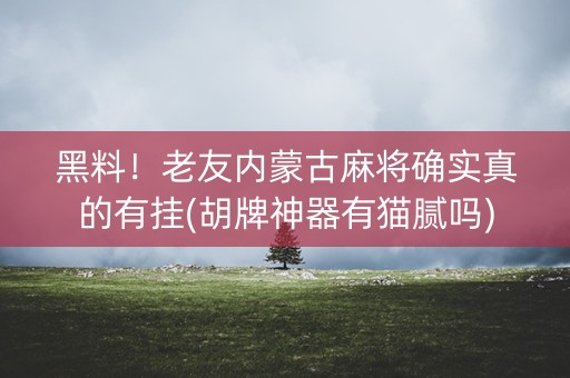 黑料！老友内蒙古麻将确实真的有挂(胡牌神器有猫腻吗)