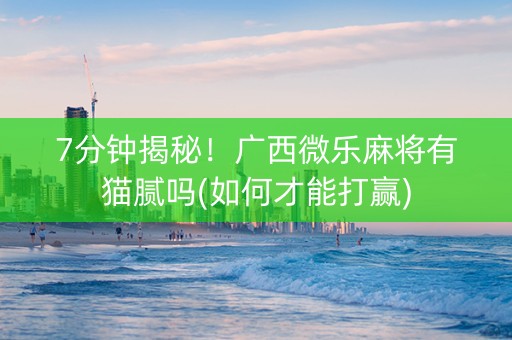 7分钟揭秘！广西微乐麻将有猫腻吗(如何才能打赢)